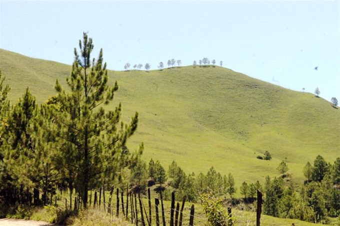 Vista panorámica del valle con bosques de pinos